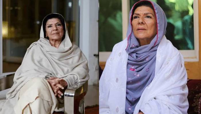 علیمہ خان کی گرفتاری کے لئے ٹیم تشکیل 