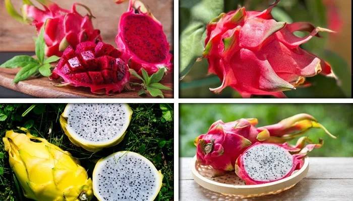 چین کے تعاون سے پاکستان میں بھی ڈریگن فروٹ کی کاشت شروع