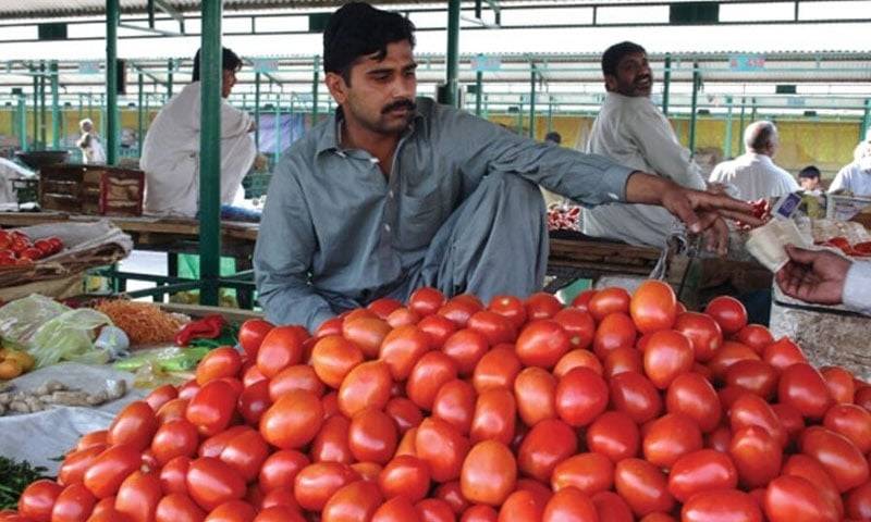 ٹماٹروں کی قیمت میں حیران کن اضافے کی بڑی وجہ سامنے آگئی