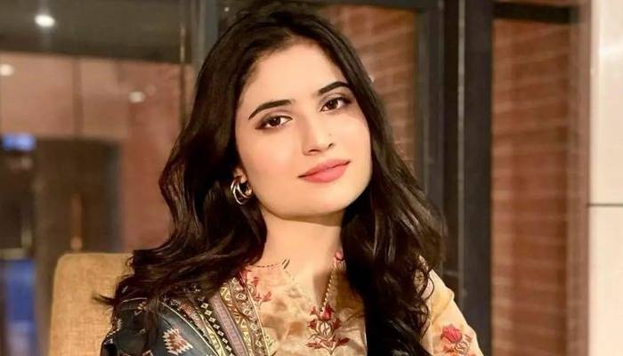 جوا ایپ کی پروموشن کا کیس، عدالت نے ڈکی بھائی کی اہلیہ  عروب جتوئی کو طلب کرلیا