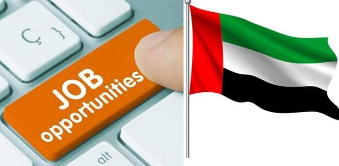 توانائی کے بڑے منصوبے سے یو اے ای میں روزگار کے ہزاروں مواقع پیدا ہوگئے