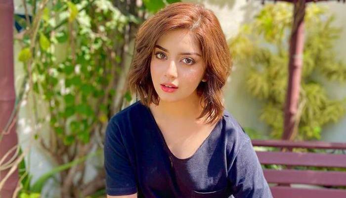 علیزے شاہ نے انسٹاگرام سے اپنی تمام تصاویر ڈیلیٹ کرنے کی وجہ بتا دی