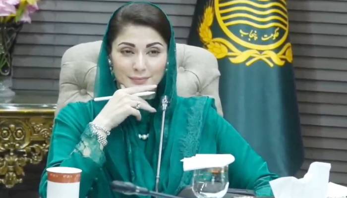 قبضہ مافیا کا باب ہمیشہ کیلئے بند، نجی اراضی پر قبضے کا فیصلہ 90 دن میں ہوگا