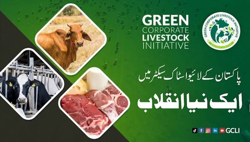  ایس آئی ایف سی کے تعاون سے گرین کارپوریٹ لائیوسٹاک انیشیٹوکا پاکستان کے ڈیری سیکٹر کیلئے تاریخی اقدام