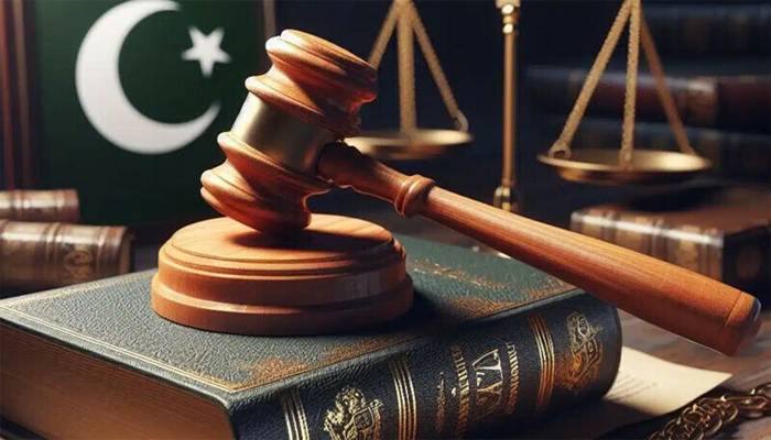 آئین کے آرٹیکل 200 میں ترامیم مشترکہ پارلیمانی کمیٹی سے منظور