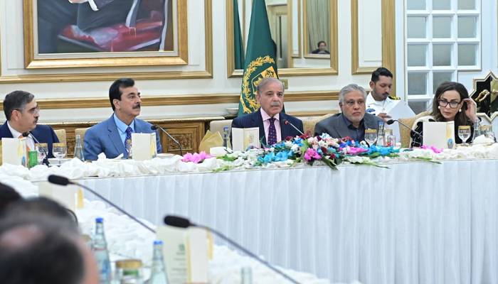 وزیر اعظم کا اتحادی جماعتوں سے 27ویں آئینی ترمیم کے منظوری کے عمل میں تعاون پر شکریہ 