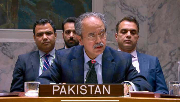 پاکستان کا اقوام متحدہ میں افغانستان میں دہشتگردوں کی اسلحے تک رسائی پر اظہارِ تشویش