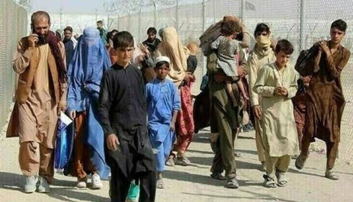 خیبرپختونخوا سے افغان شہریوں کی وطن واپسی کا سلسلہ جاری