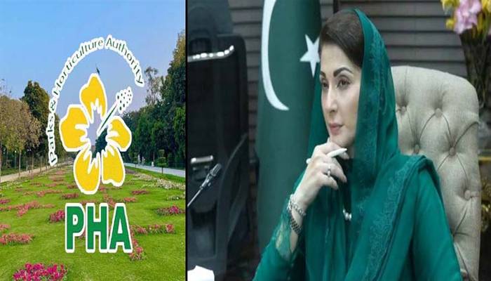 پنجاب حکومت نے11 اضلاع میں ڈی جی PHA کا عہدہ تبدیل کردیا
