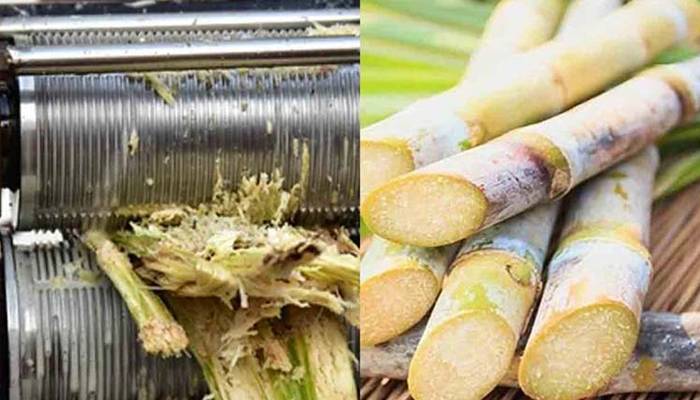 حکومتی دھمکی کے بعد27شوگر ملوں نے کرشنگ کا آغاز کردیا