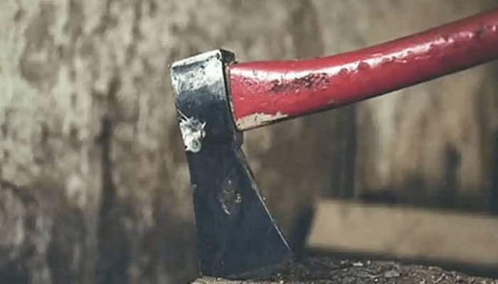 دوسری شادی کارنج؟ناخلف بیٹے نے ماں کو کلہاڑی کےو ار سے قتل کردیا