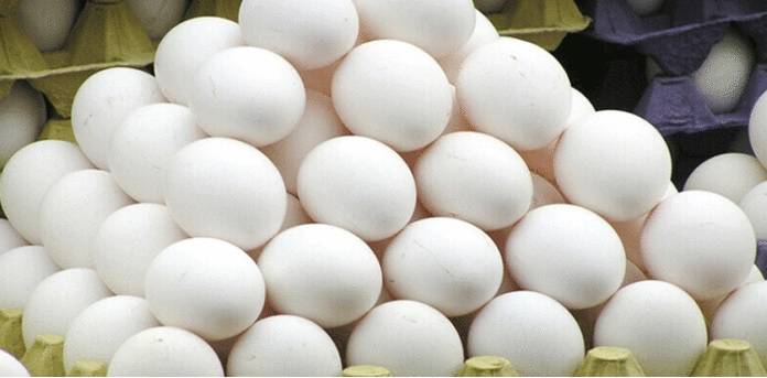 اصل اور نقلی انڈوں میں فرق سے متعلق غذائی ماہر کا اہم مشورہ