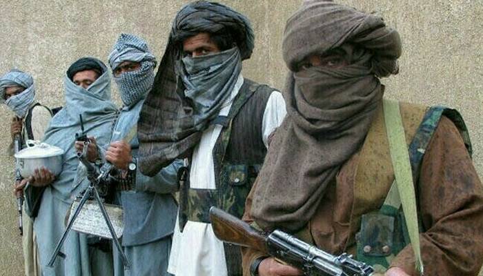 اقوام متحدہ میں ڈنمارک کی سفیر نے کالعدم ٹی ٹی پی کو خطرہ قرار دے دیا