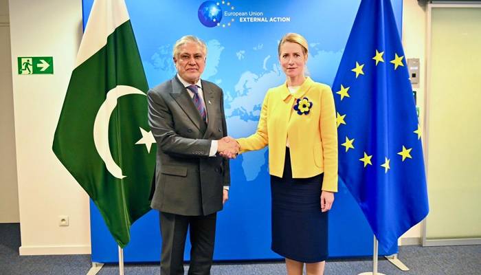 افغان حکومت دہشتگردی کے خاتمےکیلئےعملی کرداراداکرے،پاکستان،یورپی یونین مشترکہ اعلامیہ