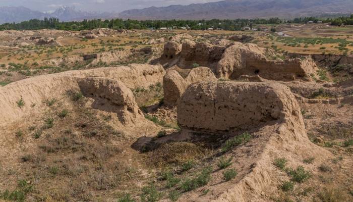 افغانستان  سے   دہشتگردوں کا تاجکستان پر ڈرون حملہ،3 چینی ملازمین ہلاک