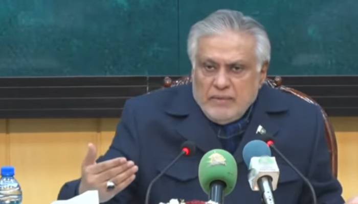 افغانستان ٹی ٹی پی کو ہمارے حوالے کر دے یا کہیں دور لے جائے: اسحاق ڈار