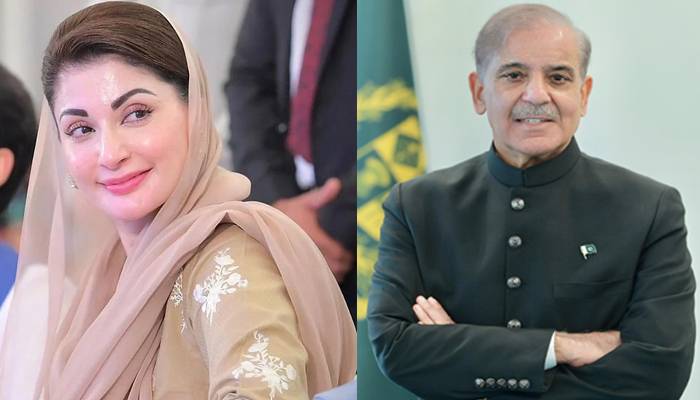 قومی کرکٹ کی جیت پر وزیراعظم اور مریم نواز کا بیان