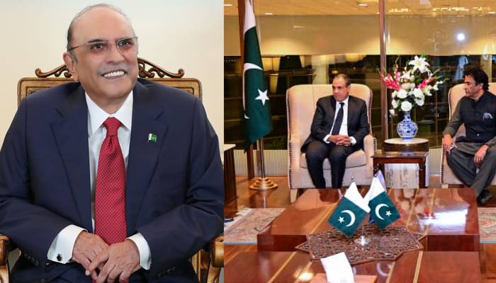 صدرِ مملکت آصف علی زرداری سے مصر کے وزیرِ خارجہ ڈاکٹر بدر احمد محمد عبدالعاطی کی ملاقات