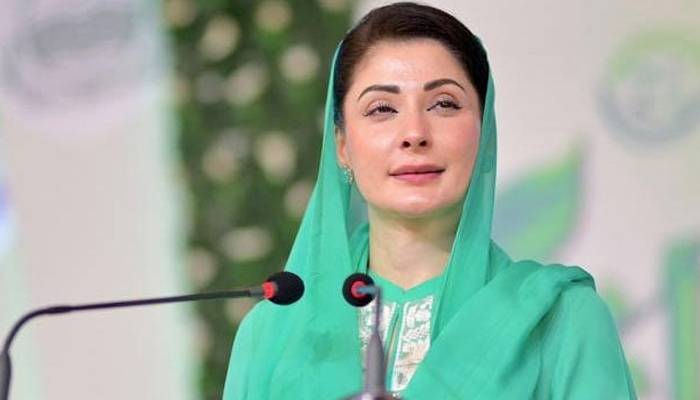 پنجاب میں جرائم کا گراف مسلسل نیچے جا رہا ہے، وزیر اعلی پنجاب مریم نواز