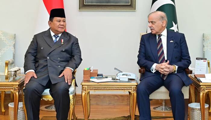 وزیر اعظم سے انڈونیشیا کے صدر کی ملاقات،دوطرفہ تعلقات بڑھانے پر اتفاق