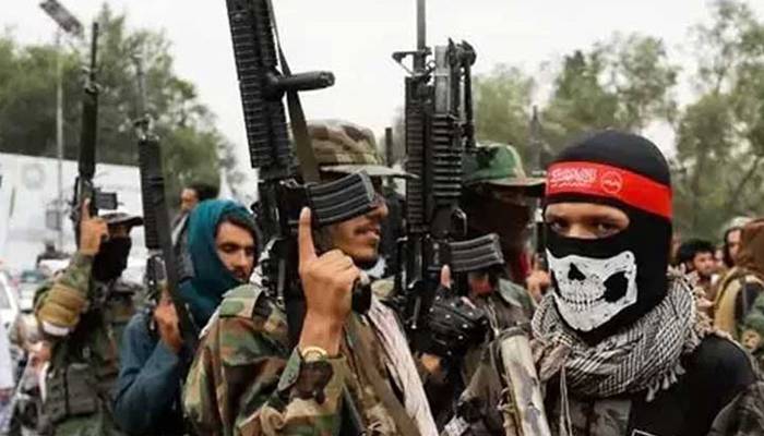 افغانستان میں چھوڑاامریکی اسلحہ پاکستان میں دہشتگردی کے پھیلاؤ کی وجہ قرار