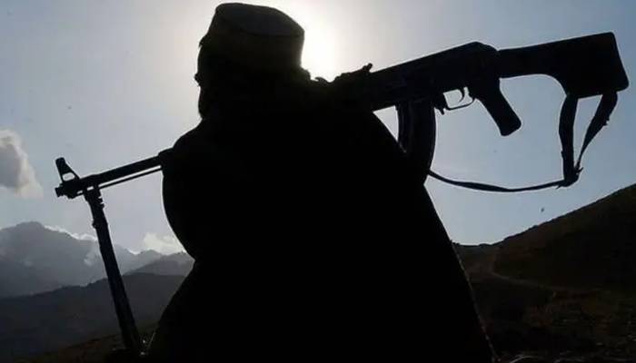 پاکستان پر ٹی ٹی پی کے حملے افغان سرزمین سے ہو رہے ہیں: اقوامِ متحدہ کی تازہ رپورٹ