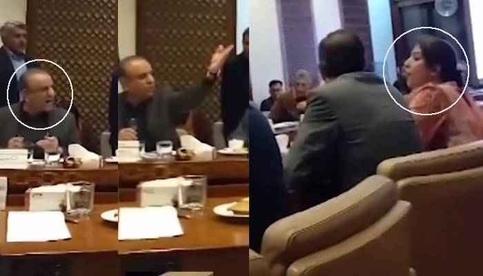 علیم خان اور پیپلزپارٹی کی سینیٹر پلوشہ میں سخت جملوں کا تبادلہ، ویڈیوز وائرل