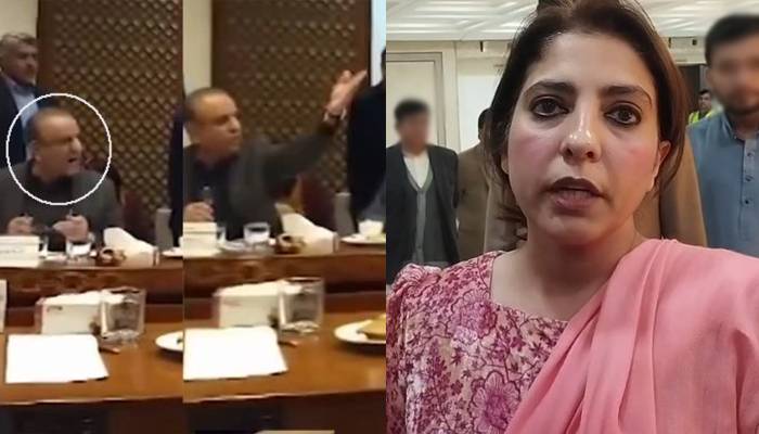 علیم خان کیساتھ تلخ کلامی، سینیٹر پلوشہ خان نے بڑا اعلان کردیا