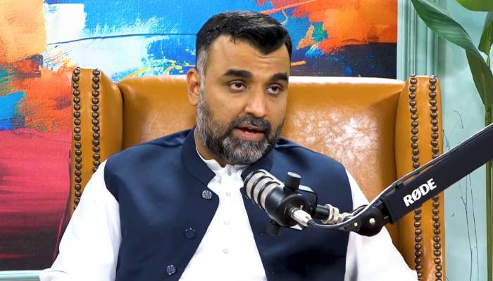 پی ایس ایل 11: سیالکوٹ فرنچائز کی ٹیم میں آسٹریلین کھلاڑی شامل ہونگے: حمزہ مجید 