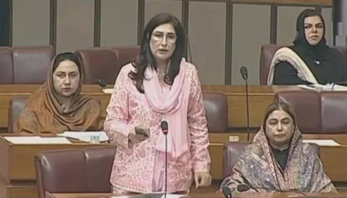 حادثے کے وقت وزیراعلیٰ اور وزراء کا پہنچنا ضروری نہیں، شہلا رضا