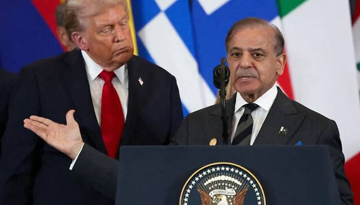 پاکستان، مصر،اردن،یو اے ای، ترکیہ، سعودی عرب اور قطر کا غزہ پیس آف بورڈ پر مشترکہ اعلامیہ جاری