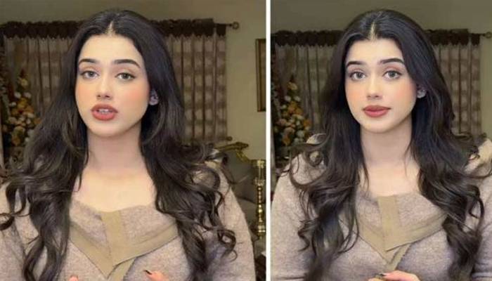 ٹک ٹاک اسٹار علینہ عامر کا مبینہ نازیبا لیک ویڈیو پرردعمل آگیا