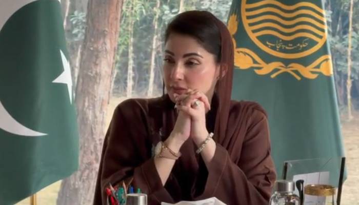 وزیراعلیٰ مریم نواز نے ہر ضلع میں سٹروک مینجمنٹ سنٹر قائم کرنے کی منظوری دیدی