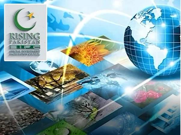 پاکستان کی جانب سے ورچوئل انویسٹر روڈشو کا انعقاد