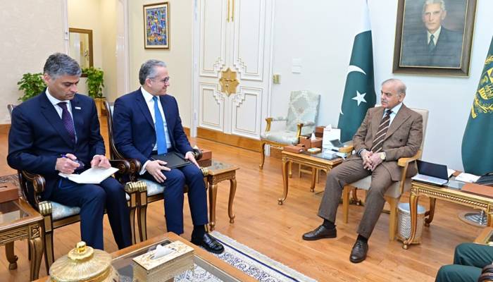 وزیراعظم سے ڈائریکٹر جنرل یونیسکو کی ملاقات