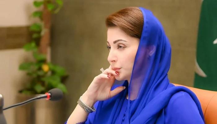 بسنت کو محفوظ بنانے کیلئے مانیٹرنگ کا مربوط نظام بنایا گیا ہے، مریم نواز