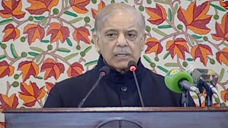 بھارتی کٹھ پتلیوں کا وہی حشر ہوگا جو معرکہ حق میں بھارتی طیاروں کا ہوا، وزیراعظم شہباز شریف