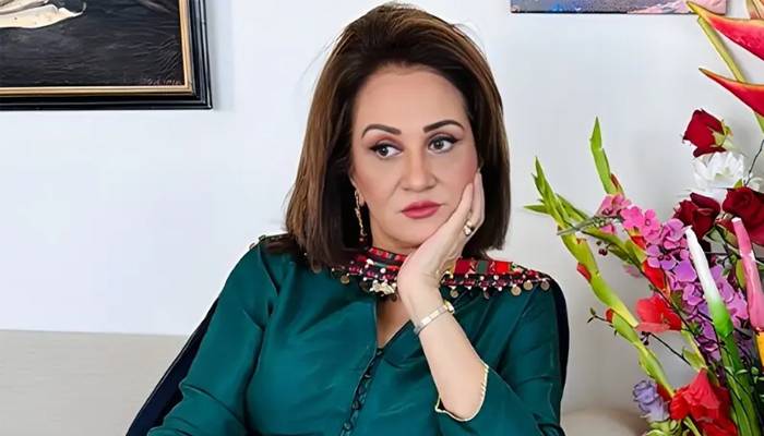 بشریٰ انصاری کا دوسری شادی کرنے والی خواتین کے لیے اہم مشورہ