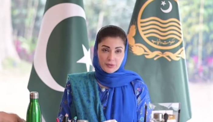 پنجاب میں کل زیرو ہڑتال، زیرو شٹر ڈاؤن اور زیرو پہیہ جام تھا، وزیر اعلی مریم نواز