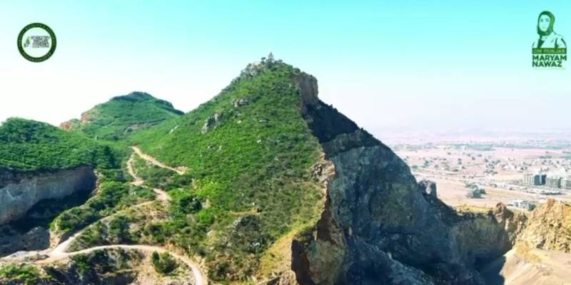 مارگلہ جنگل کی بحالی پنجاب حکومت کی ترجیح، ٹیکسلا میں شجرکاری مہم کا انعقاد
