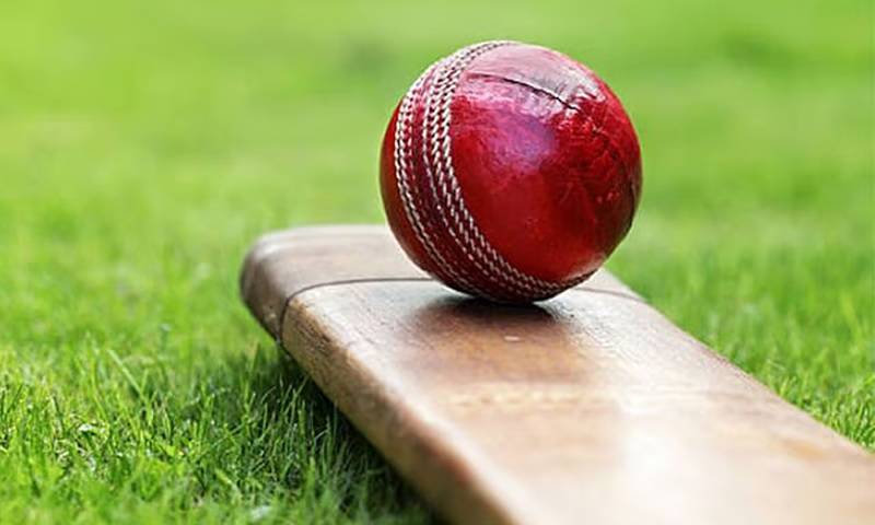 میچ کے دوران مکھیوں کے حملے میں ایک امپائر جان کی بازی ہار گئے