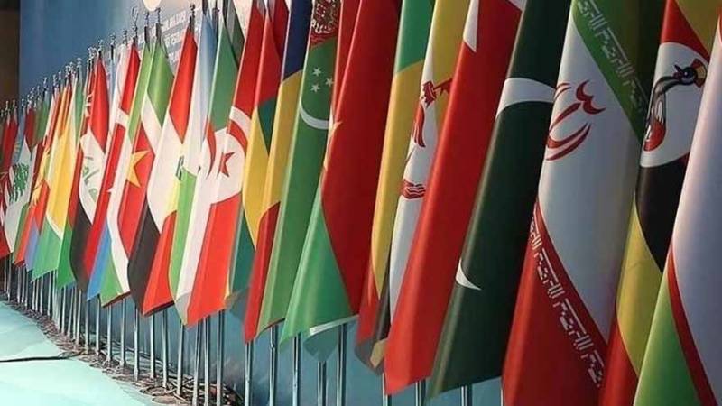 پاکستان سمیت اسلامی ممالک کی امریکی سفیر کے بیان کی مشترکہ مذمت