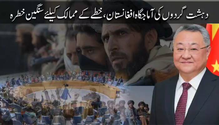 طالبان رجیم کی سرپرستی میں پروان چڑھتی دہشتگردی خطے کے امن و استحکام  کیلئے سنگین خطرہ  