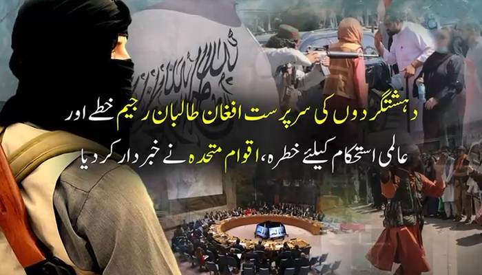 افغان طالبان کی دہشتگردوں کی سرپرستی عالمی استحکام کیلئے خطرہ،اقوام متحدہ نے خبردار کردیا