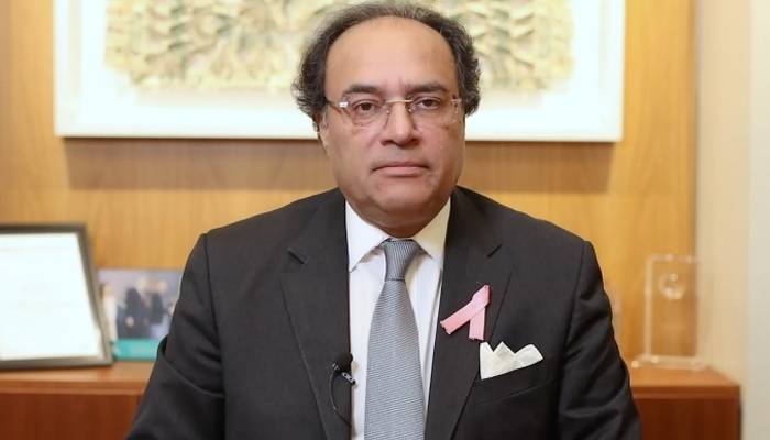 حکومت نے پٹرولیم مصنوعات پر 69 ارب روپے کا بوجھ برداشت کیا: وزیر خزانہ
