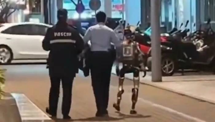 خاتون کو ڈرانا مہنگا پڑ گیا،پولیس نے روبوٹ  کو'گرفتار' کرلیا