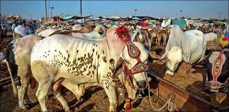 پاکستان میں عیدالاضحیٰ کی ممکنہ تاریخ سامنے آگئی