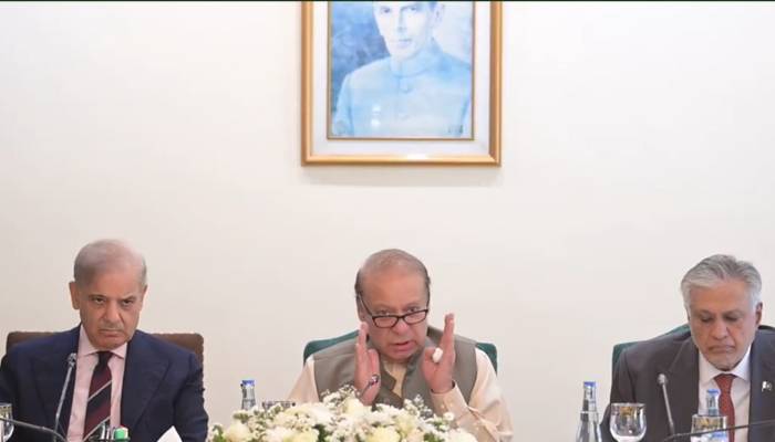 وزیراعظم کی قیادت،فیلڈ مارشل کے تاریخی کردار کی بدولت سبز پاسپورٹ کی عزت بحال ہو رہی،نواز شریف