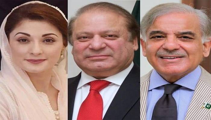 وزیر اعظم کی جاتی امراء آمد، نوا زشریف سے ملاقات، سیاسی صورتحال پر تبادلہ خیال