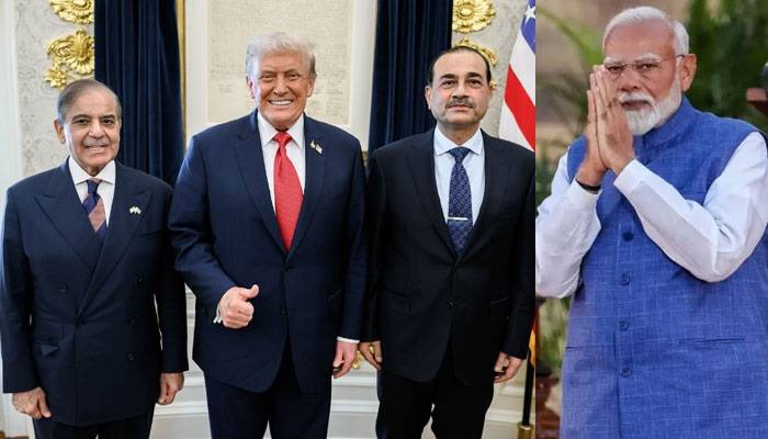 پاکستان کو عالمی سطح پرتنہاکرنے کی مودی کی 10سالہ مہم بری طرح ناکام رہی، عرب میڈیا